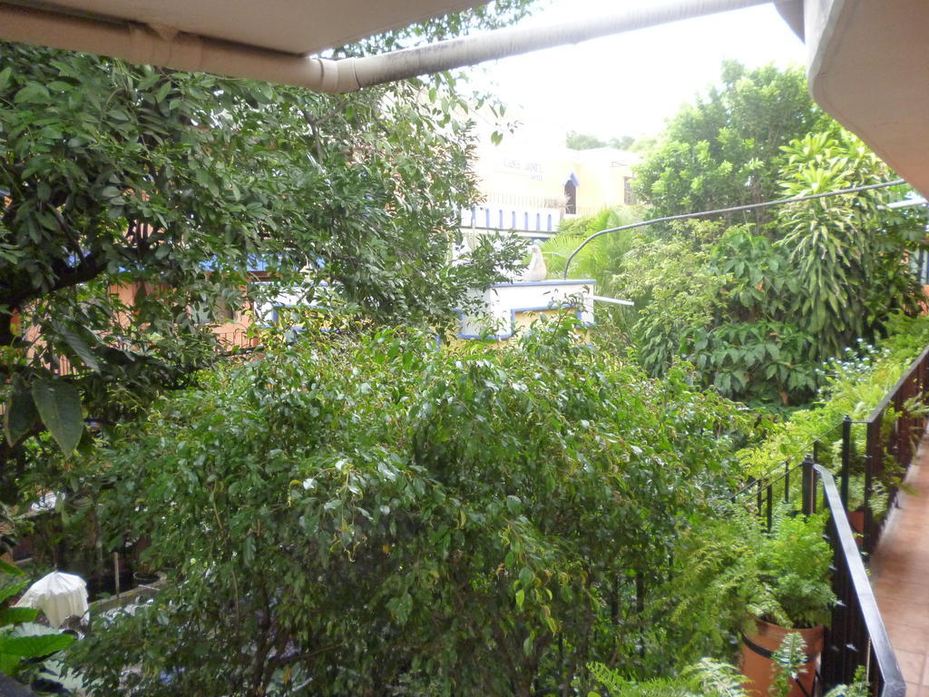 Hotel Casa Arnel Oaxaca Kültér fotó