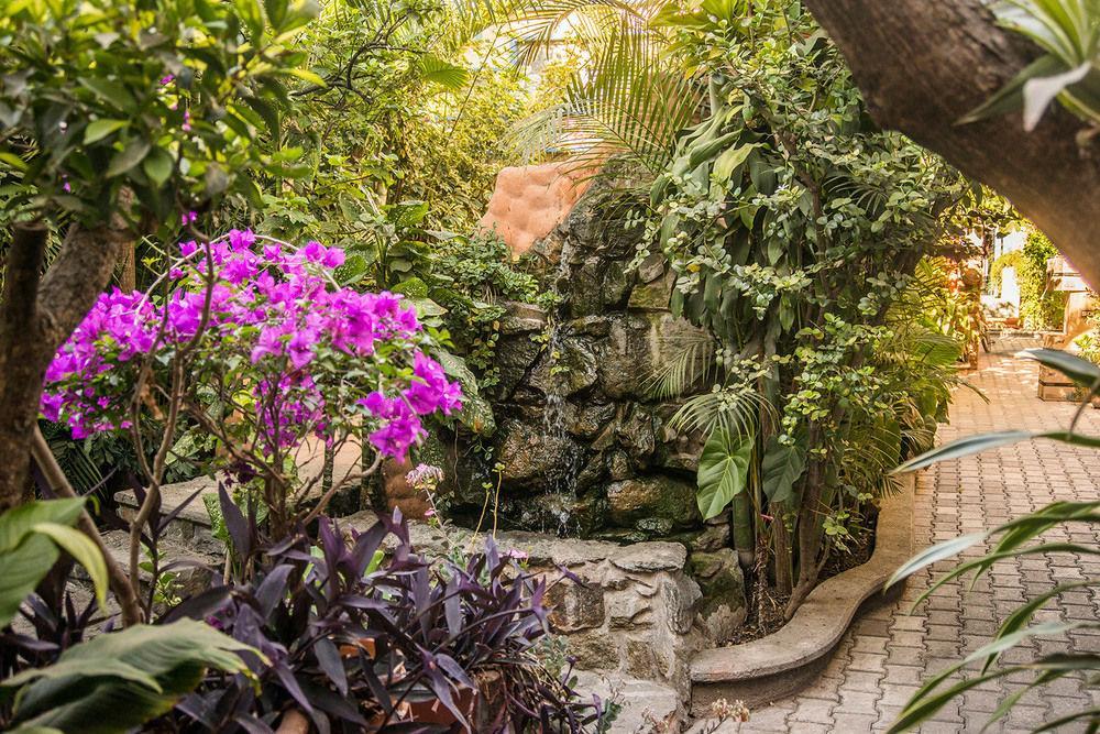 Hotel Casa Arnel Oaxaca Kültér fotó