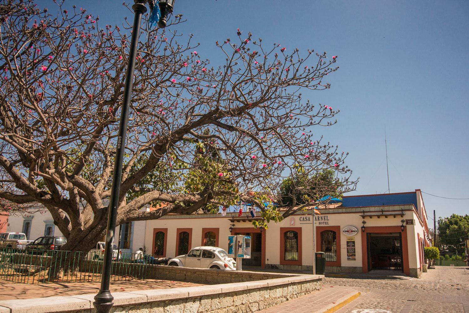 Hotel Casa Arnel Oaxaca Kültér fotó